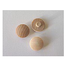 50 St�ck Spaxkappen in Birke BIT 3,farblos endlackiert.